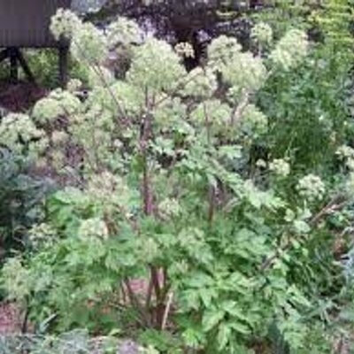 Profile Picture of Bryan Newall (@KDNewall) on Twitter