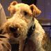 Profile Picture of Ted Devlin (@ted.devlin.330) on Facebook