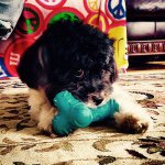 Profile Picture of Roxanne Phoebe O'Connor (@the_roxy_star) on Instagram