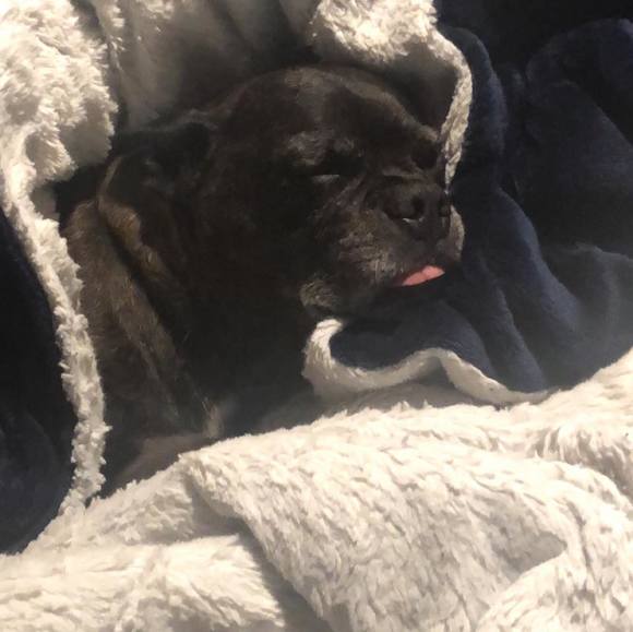 Profile Picture of Trevor Persails (@mr_kipper) on Poshmark