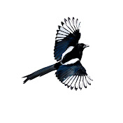 Profile Picture of Christopher Walden House Of Hope (@ChristopherWaldenHouseofHope) on Youtube