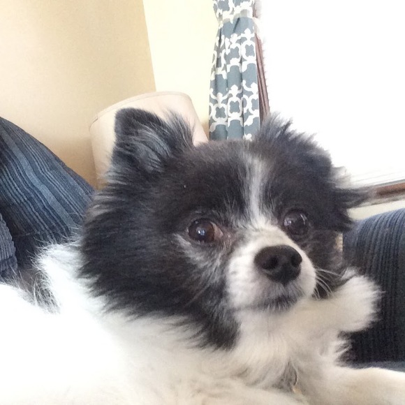 Daniel Penney - Poshmark Profile Picture of Daniel Penney (@danielpenney) on Poshmark