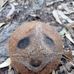 Profile Picture of Juan Pimienta (Pepper) (@juan.pimienta.391082) on Facebook