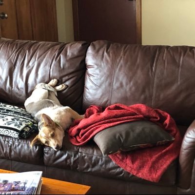 Profile Picture of Dan LaFrance (@dlafrance56) on Twitter