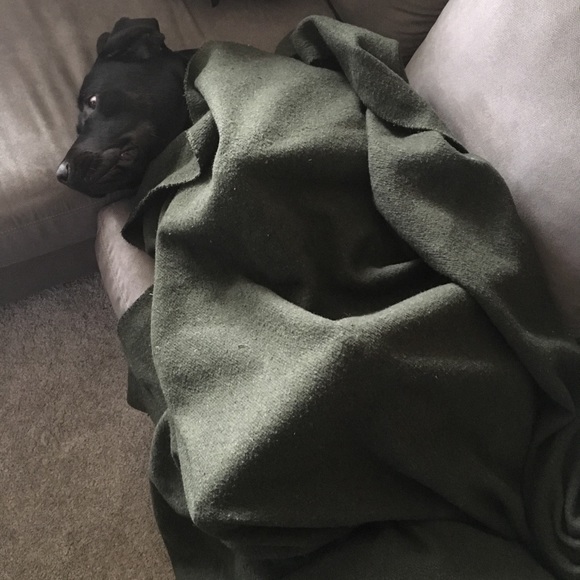 Profile Picture of Patrick Brides (@patbrides) on Poshmark