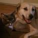 Profile Picture of Gloria Hollifield (@gholli324) on Pinterest