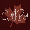 Profile Picture of CMReidPhotography (@CMReidPhotography) on Flickr