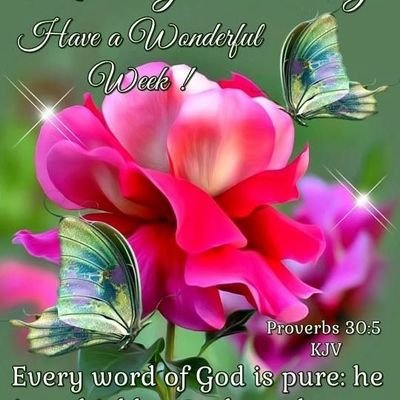 Profile Picture of Ricardo Marks (@RicardoMarks7) on Twitter