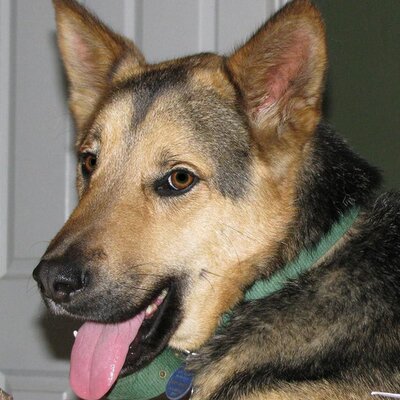 Profile Picture of Billy Fueglein (@BillFueglein) on Twitter