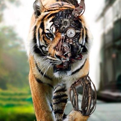 Profile Picture of Chad Willard (@WillardChad) on Twitter