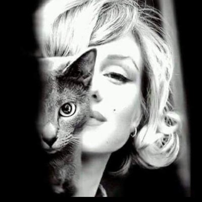 Profile Picture of Lea Dunham (@ljdlee) on Twitter