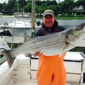 Profile Picture of JOSEPH BERARDINO (@BerardinoJoseph) on Twitter