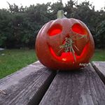 Angie Tibbs - Instagram Profile Picture of Angie Tibbs (@angietibbs1) on Instagram