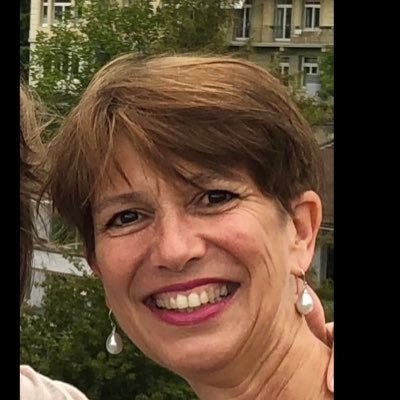 Profile Picture of Special Envoy Of UN Secretary-General On Myanmar (@SchranerBurgen1) on Twitter