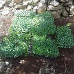 Profile Picture of Robert Pinnock (@robertapinnock) on Instagram