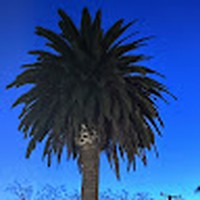 Profile Picture of Edward Herron (@edward-herron-7) on Quora