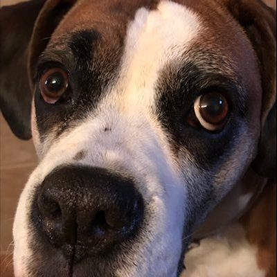 Profile Picture of Jonathan Seiler (@JonathanSeiler3) on Twitter