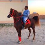 Profile Picture of عساف الدواهي (@ahmed_sakran) on Instagram