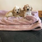 Profile Picture of Aileen Mccormack (@mccormack.aileen) on Instagram