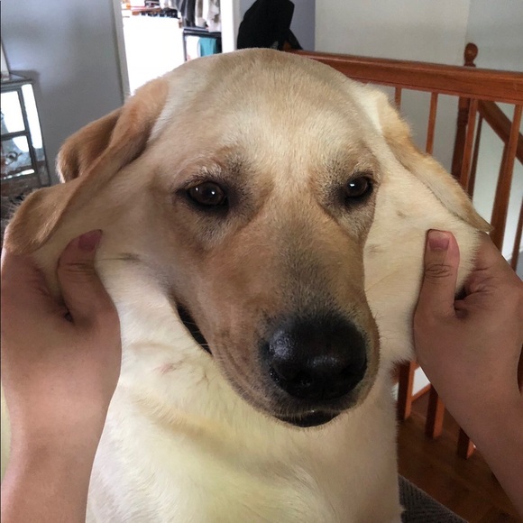 Profile Picture of Mason Watson (@masonwatson) on Poshmark