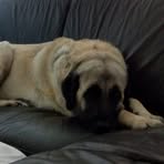 Profile Picture of Thomas Hebda (@thomas.hebda) on Facebook