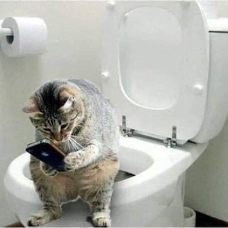 Profile Picture of James Gosen (@james_gosen) on Twitter