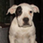 Profile Picture of Jeff Jung (@jeffjung) on Flickr