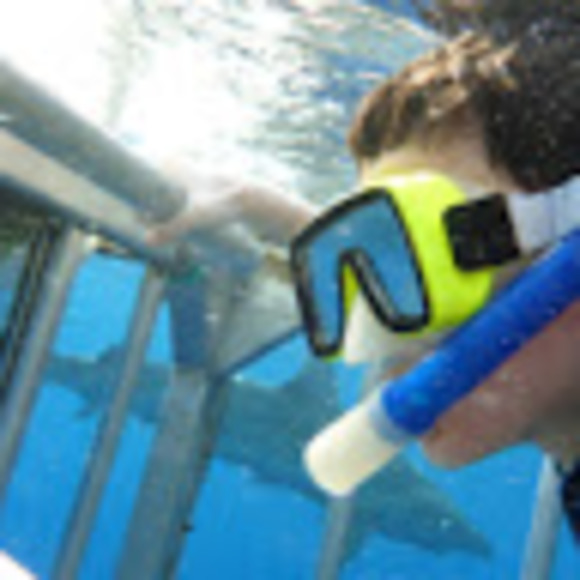 Profile Picture of Aidan Mclaughlin (@aidanm5) on Poshmark