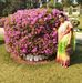 Profile Picture of Shampa Seth (@shampa.seth.503) on Facebook