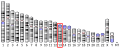 Profile Picture of Klotho (biology)on Wikipedia