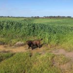 Profile Picture of Nancy Lashbrook (@nancy207) on Instagram