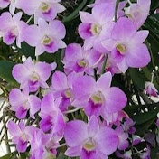 Profile Picture of Patrick Theodore (@patricktheodore7596) on Youtube