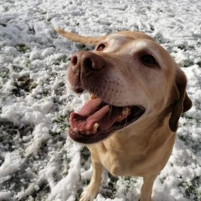 Profile Picture of Michelle Grant-Talbot (@Grant6Grant) on Twitter