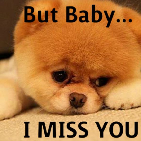 Profile Picture of Leah Eckman (@lce1011) on Poshmark