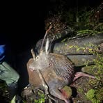 Corbin Barber - Facebook Profile Picture of Corbin Barber (@corbin.barber.791021) on Facebook