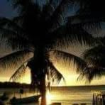 Profile Picture of BradandDarla Beukelman (@BradandDarla-Beukelman) on Facebook