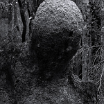 Profile Picture of Kevin Marchetto (@marchetto.kevin) on Flickr