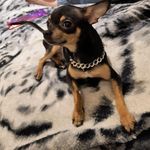 Profile Picture of Sparrow Markell (@ashleigh.markell) on Instagram