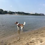 Profile Picture of Wanda_parson_russell (@wanda_parson_russell) on Instagram