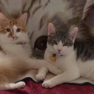 Profile Picture of Ken Gordineer (@kenneth.gordineer) on Facebook