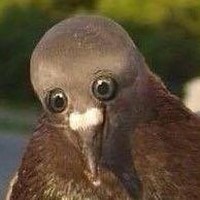 Profile Picture of Daniel Jörgensen (@daniel-jörgensen) on Quora