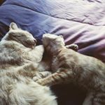 Profile Picture of Janet Hauck (@janet.hauck.39) on Instagram