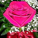 Profile Picture of Valeta Wilson (@valeta.wilson) on Facebook