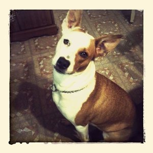 Profile Picture of Sandy Oller (@ollerbackgirl) on Myspace