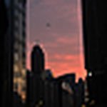 Profile Picture of Carly Grant (@cgslugbug1) on Flickr