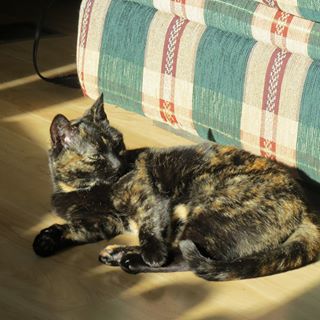 Profile Picture of Georgette Cushing (@georgette.cushing) on Facebook