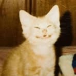 Profile Picture of Charles Castle (@charles.castle.490770) on Facebook