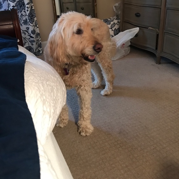 Profile Picture of Kellie Prial (@kellieprial1) on Poshmark