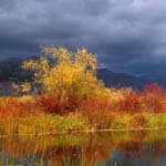 Profile Picture of Floyd_McLeod (@floyd_mcleodn) on Instagram