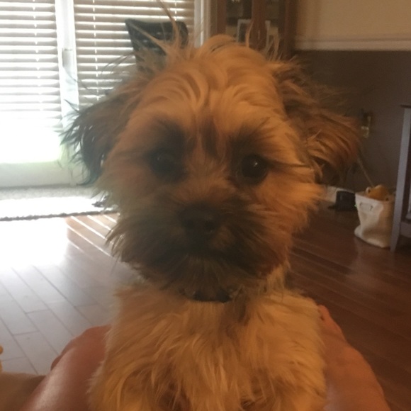 Profile Picture of Lauren Rowsey (@lerowsey13) on Poshmark